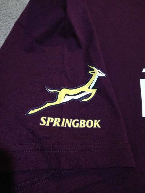 Asics Springbok Casual tshirt Size L