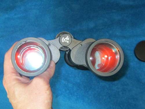 ruby lenses binoculars wide view tasco ram optics camping 