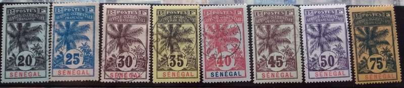 French colonies-Senegal 1906 Oil Palms. Used