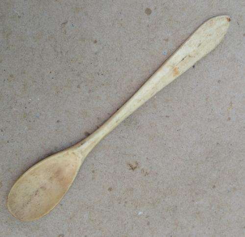 Spoon made from a bone