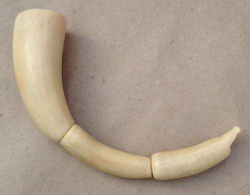 Whale Tooth Pipe.....unused......made by George Rindel circa 1970