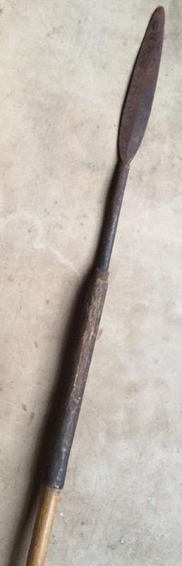 Zulu Spear 1285mm length...bound tight with reed and covered with leather sheath