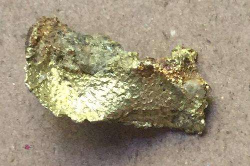 Raw South African Gold Nugget with bits of Quartz embedded.....6 grams.....from circa 1910
