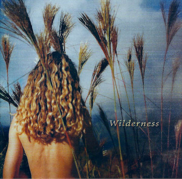 Sophie B. Hawkins - Wilderness CD Import
