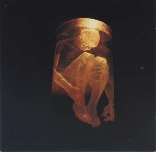 Alice In Chains - Nothing Safe CD Import