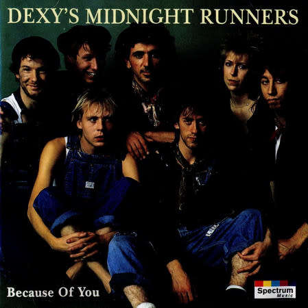 Dexys Midnight Runners - Because of You CD Import