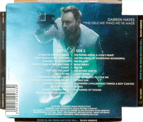Darren Hayes - This Delicate Thing We`ve Made CD