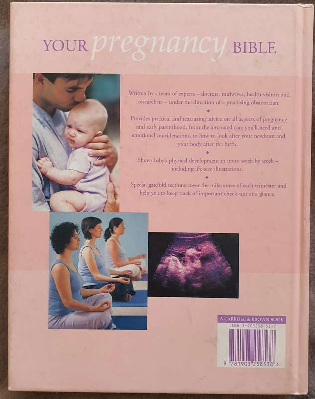 Hardcover - Pregnancy Bible