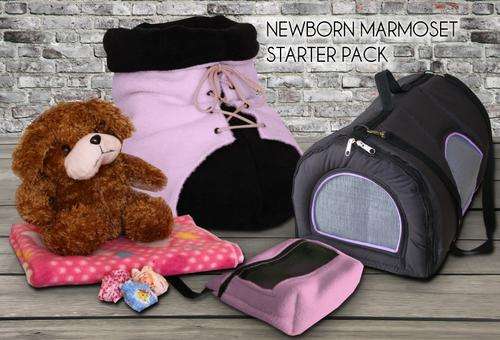 New Born Marmoset Monkey Starter kit