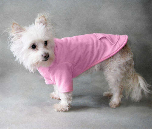 X-Small, Small, Medium and large Doggy Jackets