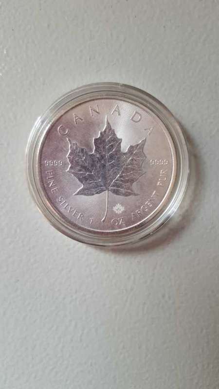 2015 silver maple coin