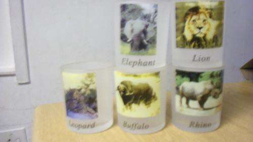 Set Of  Big Five Glasses