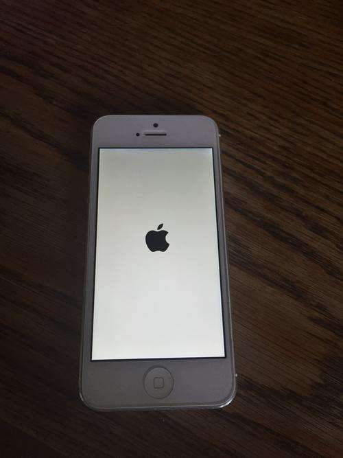 iPhone 5  64 GB