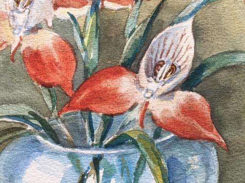 LISTED ARTIST - ORIGINAL OLIVE BEAUMONT CREWE -  RED DISAS IN VASE WATERCOLOUR
