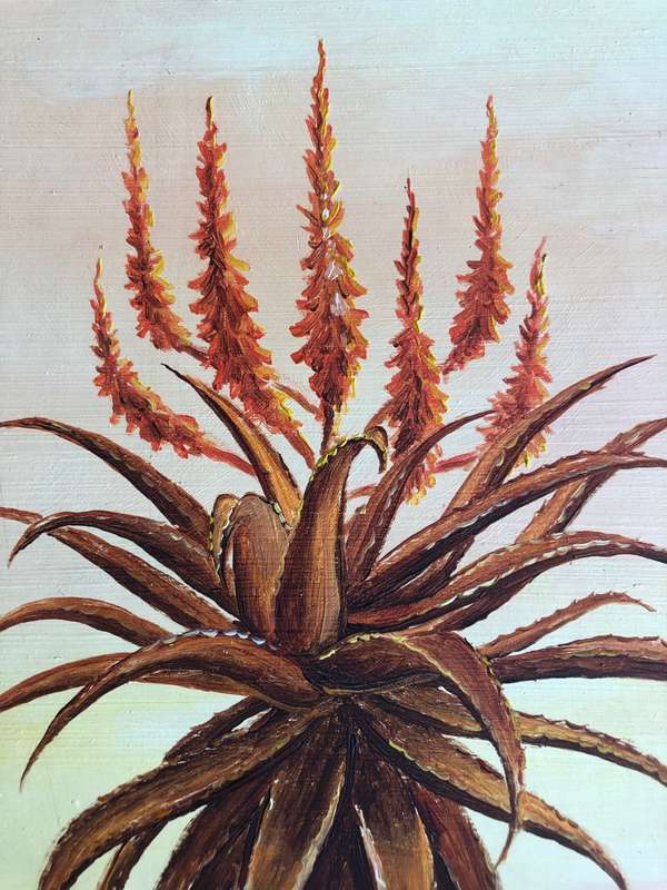 ORIGINAL BY WELL KNOWN ARTIST PAULA VAN EMMENIS - ALOE OIL ON BOARD