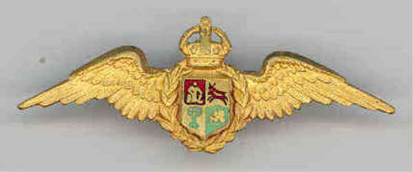 Magnificent SAAF Pilot Gilt Mess Dress Wings.  Both Pins Intact
