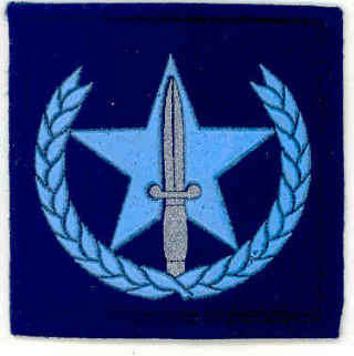 SAAF Military Police Agency Breast Badge for Field Dress