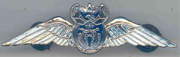 Pilot Wings (Silver) for Mess Dress