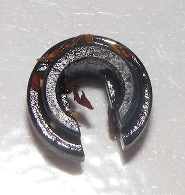 LM4 Guide Rod Ring