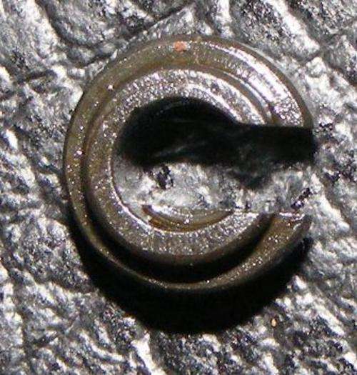 LM4 GUIDE ROD RING