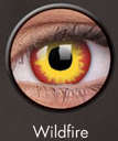 Original ColourVUE Contacts - Wildfire - Halloween