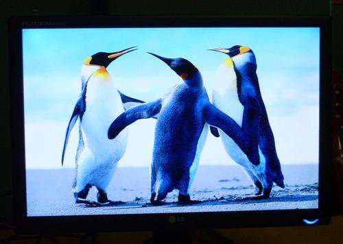 LG 19" LCD Monitor