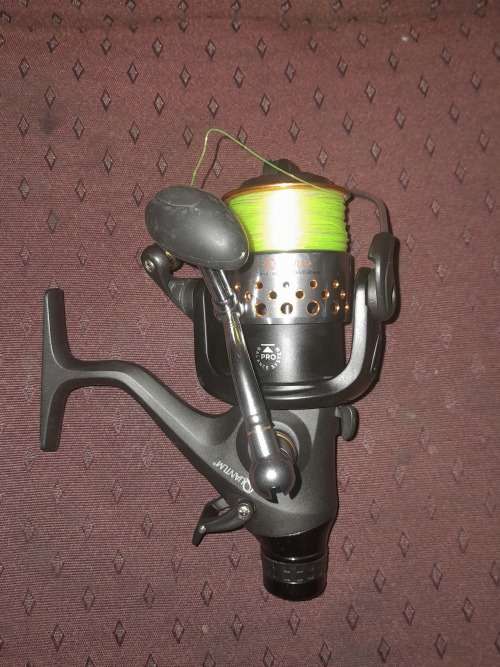 Quantum Radical Reel