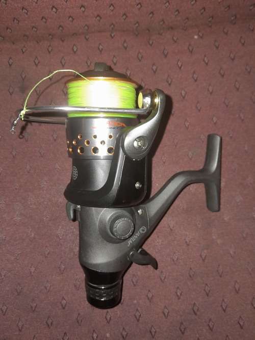 Quantum Radical Reel