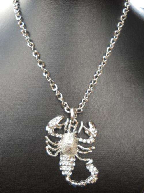 Beautiful "Scorpion" Pendent on Chain