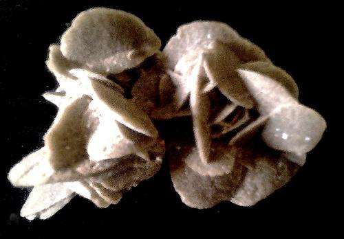 Desert Rose from Namibia - Beautiful speciman !- No Breakages -  235 gr