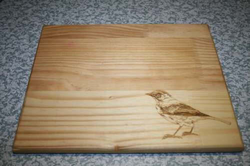 Pine Serving/Cutting board with bird