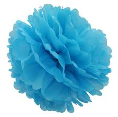 ICEDEVIL 30 Piece Turquoise Special