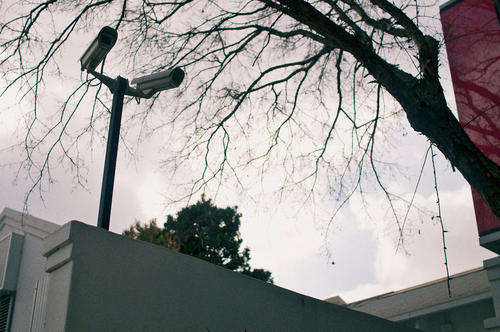 Just another Day in Suburbia