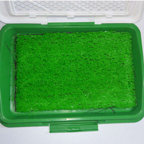 Puppy Potty Pad
