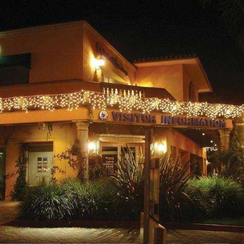 100LED Hanging-Curtain-Lights (3*0.5M)