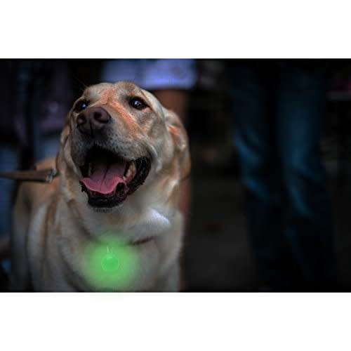 Dog Puppy Pet Collar Pendant LED Safety Clip-On Night Light Flashing