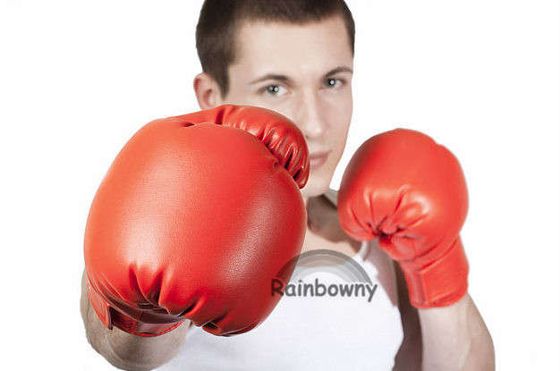 Adult Large boxing gloves