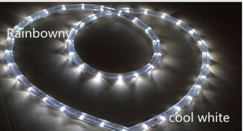 220V LED Rope Lights (100m)