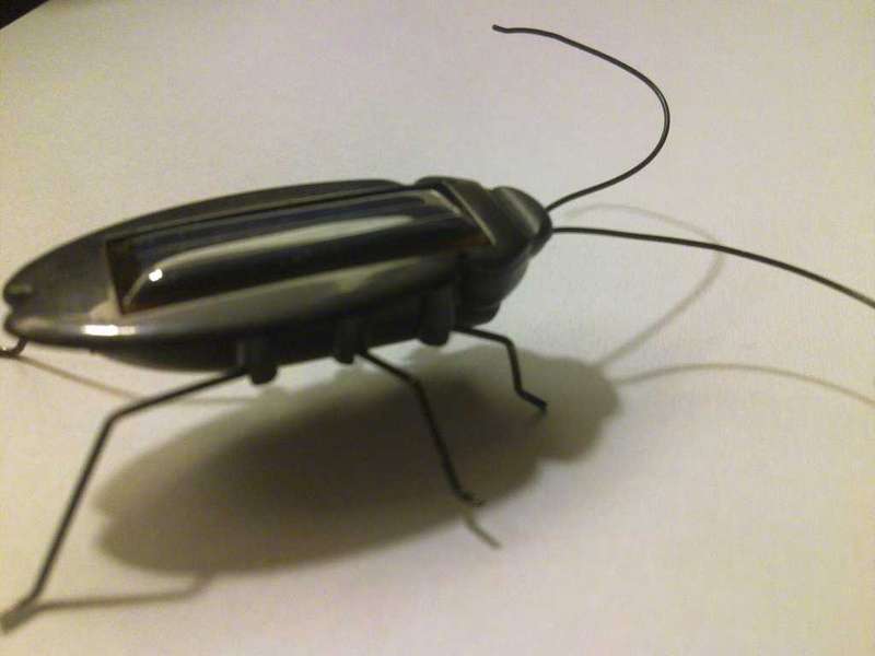 Solar Powered Cockroach - LOW START!!