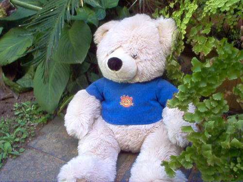 BEAR WORX TEDDY BEAR.