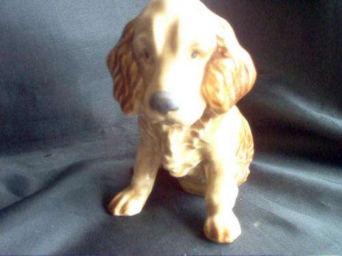 SYLVAC DOG