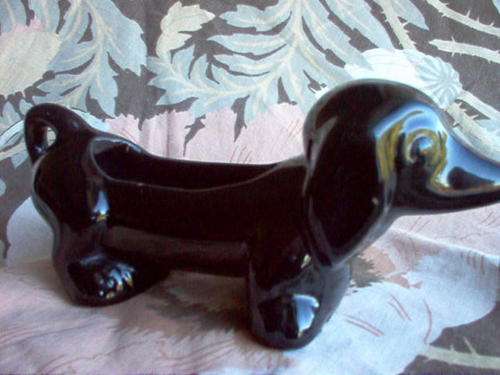 LUCIA DOG