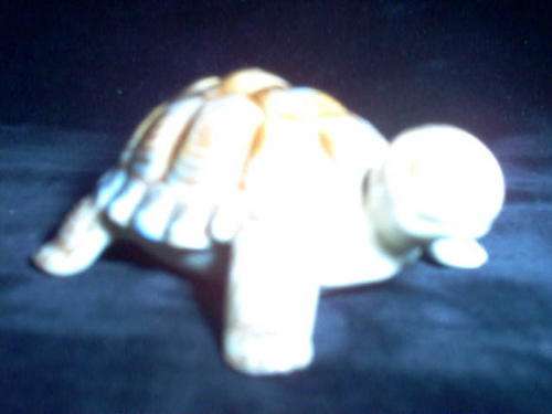 WADE TORTOISE