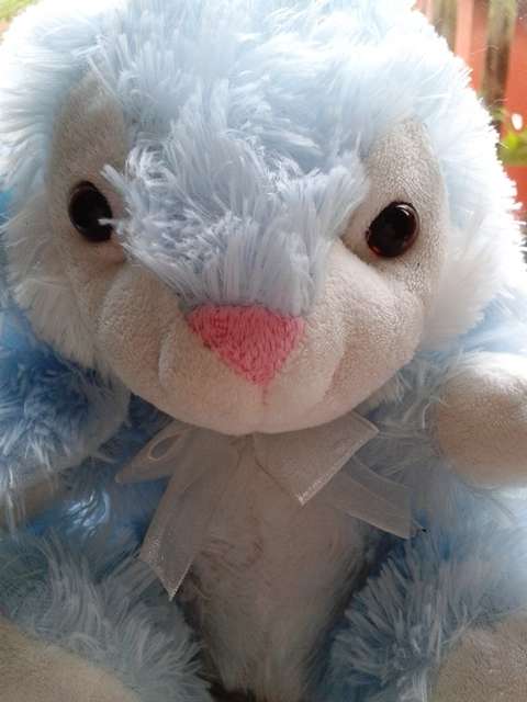 Bluebell the Soft Bunny!  Special!