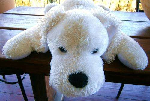 Barkley the Dog!  Big and Huggable!