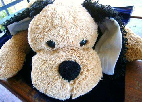 Doggie Doo-Doo!  Large and Huggable!