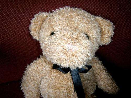 Bandy Bear.....Huggable!