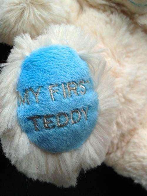 My First Teddy Bear!  Soft and Very Cuddly!