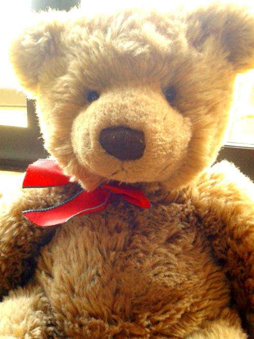 Russ Berrie - Holly. Item no 99662. Vintage and Rare Large Bear!