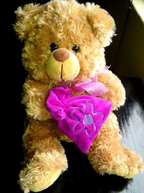 Daizy the Cute Teddy Bear!  Soft and Very Cuddly!